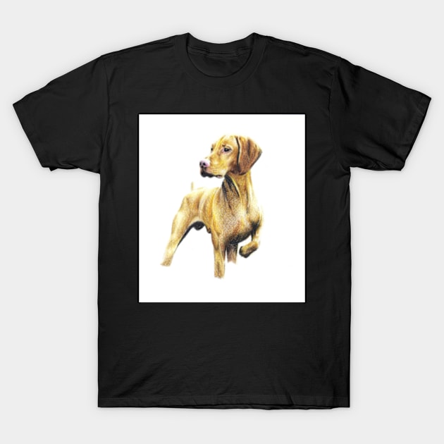 Zack the Hungarian pointer T-Shirt by rainetteillus